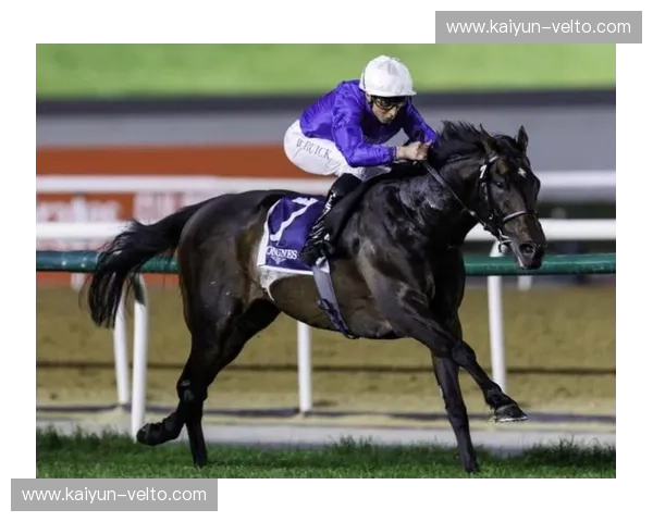 马术转会潮：骑士与良驹的下一站